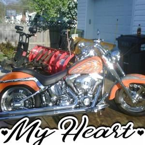 Meet your Posher, Sherry